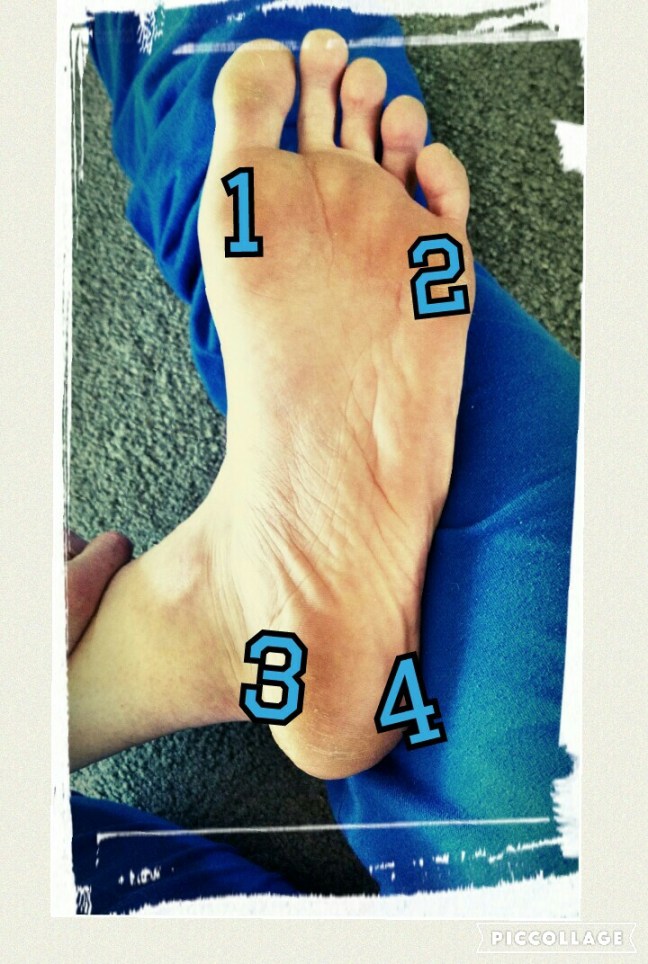 Collage 2016-02-18 11_37_12.jpg image