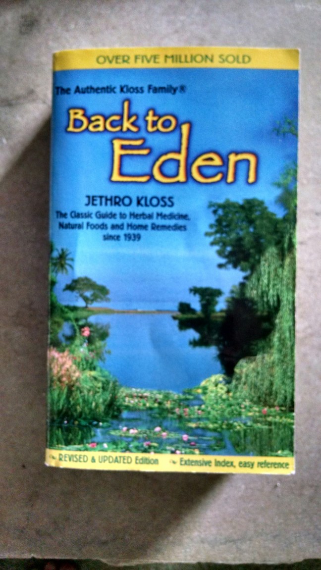 wp-1456164268460 image