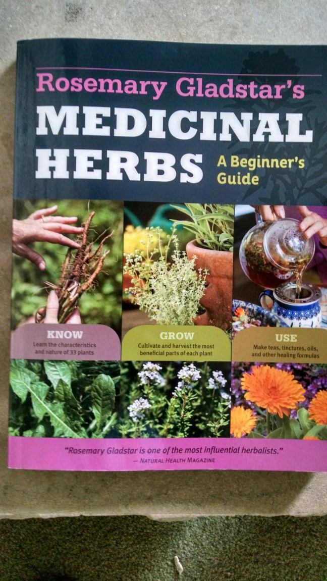 wp-1456164654450 image