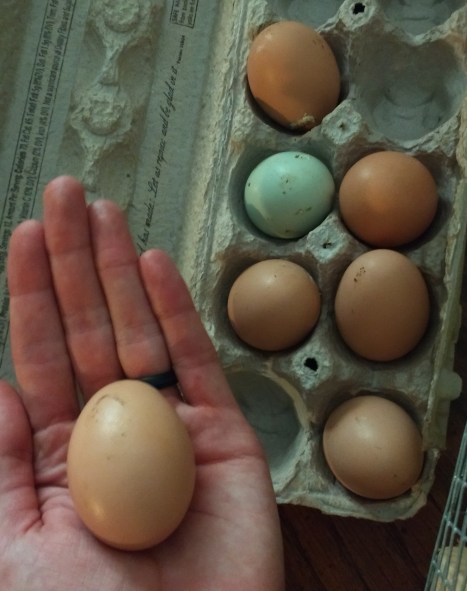 IMG_20170722_113703079