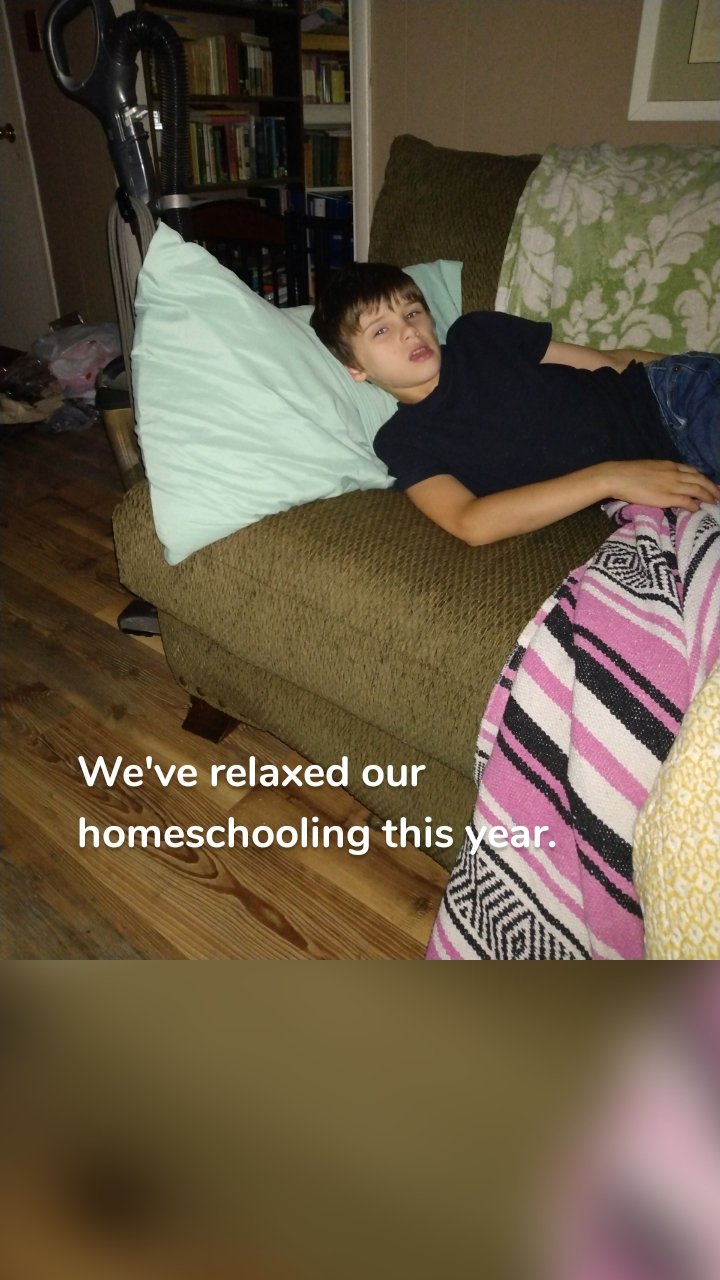 We've relaxed our homeschooling this year.